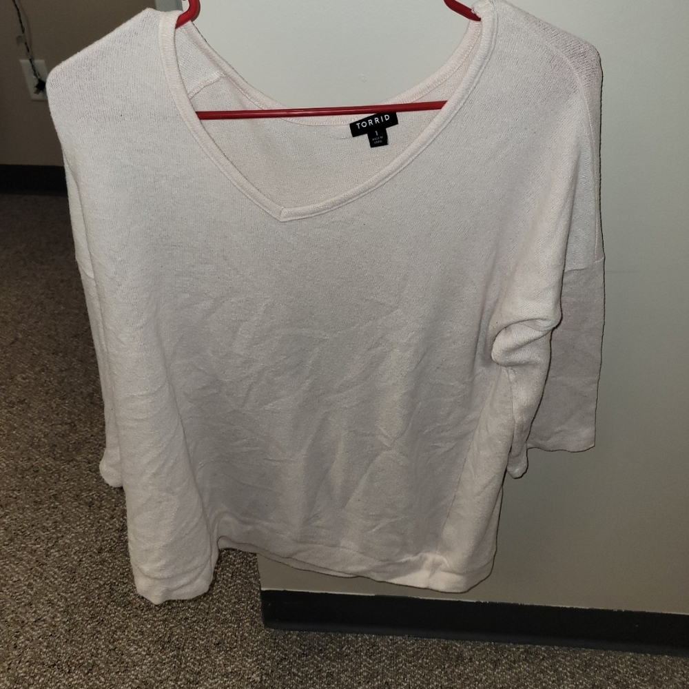 Torrid Soft Light Pink V-Neck Blouse
